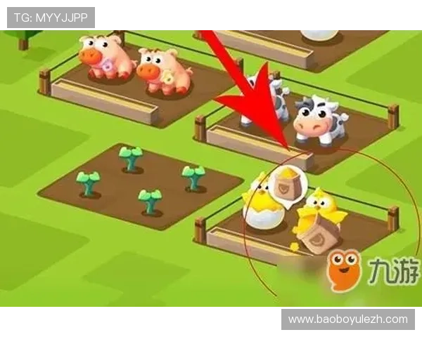 九游体育国际用户评价与口碑分析，真实反馈助你选择放心平台