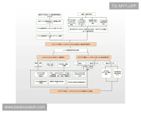 全面解析TVT体育登录线路稳定性提升技巧保障你的观看无忧