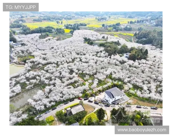 利来体育电子网投的最新优惠活动有哪些，如何最大化利用优惠提升中奖几率